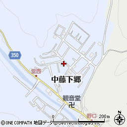 埼玉県飯能市中藤下郷10-49周辺の地図