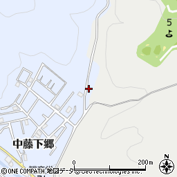 埼玉県飯能市中藤下郷24-7周辺の地図