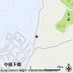 埼玉県飯能市中藤下郷24-5周辺の地図