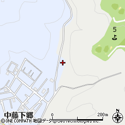 埼玉県飯能市中藤下郷24-3周辺の地図