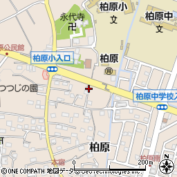 埼玉県狭山市柏原1137周辺の地図