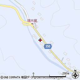 埼玉県飯能市中藤下郷176周辺の地図