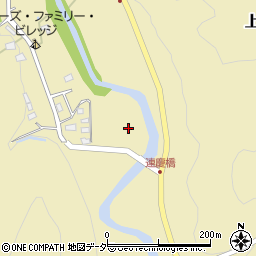埼玉県飯能市上名栗3229周辺の地図