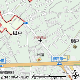 沢藤商店周辺の地図