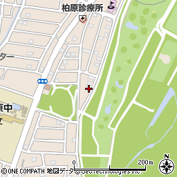 埼玉県狭山市柏原3282周辺の地図
