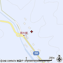 埼玉県飯能市中藤下郷195周辺の地図