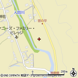 埼玉県飯能市上名栗170周辺の地図