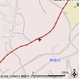 埼玉県飯能市下川崎807-11周辺の地図