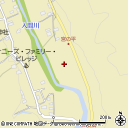埼玉県飯能市上名栗169周辺の地図