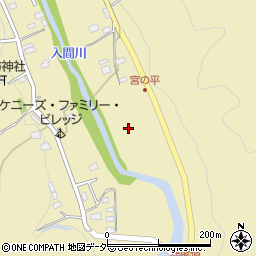 埼玉県飯能市上名栗172周辺の地図