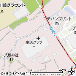 埼玉県飯能市下川崎17周辺の地図