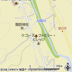 埼玉県飯能市上名栗3193周辺の地図
