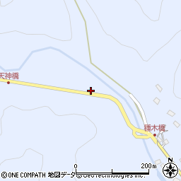 埼玉県飯能市中藤下郷455周辺の地図