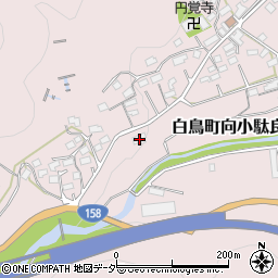 岐阜県郡上市白鳥町向小駄良336-1周辺の地図