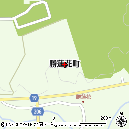 福井県越前市勝蓮花町周辺の地図