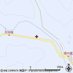 埼玉県飯能市中藤下郷446-4周辺の地図