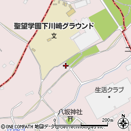 埼玉県飯能市下川崎496周辺の地図