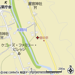 埼玉県飯能市上名栗197周辺の地図
