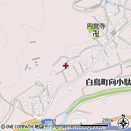 岐阜県郡上市白鳥町向小駄良322周辺の地図