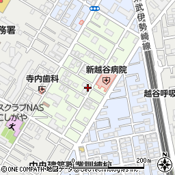 埼玉県越谷市元柳田町5-12周辺の地図