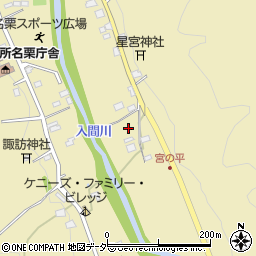 埼玉県飯能市上名栗211周辺の地図