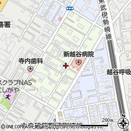 埼玉県越谷市元柳田町5-10周辺の地図