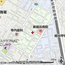 埼玉県越谷市元柳田町5-9周辺の地図