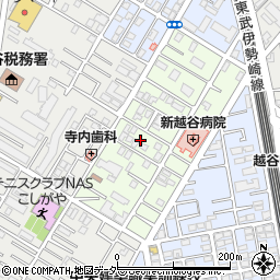 埼玉県越谷市元柳田町5周辺の地図