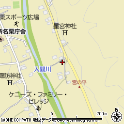 埼玉県飯能市上名栗210周辺の地図