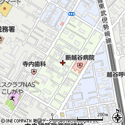 埼玉県越谷市元柳田町周辺の地図