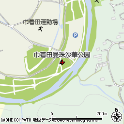 埼玉県日高市高麗本郷125周辺の地図