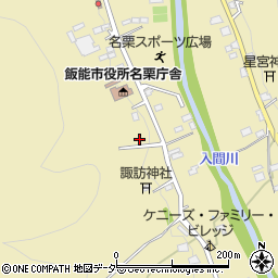 埼玉県飯能市上名栗3161周辺の地図
