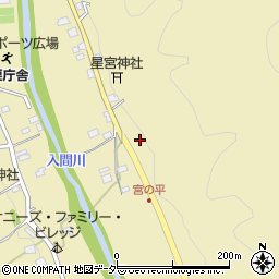 埼玉県飯能市上名栗208周辺の地図
