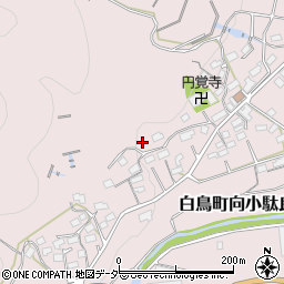 岐阜県郡上市白鳥町向小駄良431周辺の地図