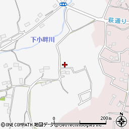 埼玉県日高市女影889-1周辺の地図