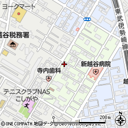 埼玉県越谷市元柳田町5-27周辺の地図