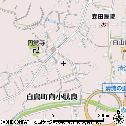 岐阜県郡上市白鳥町向小駄良577周辺の地図