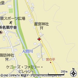埼玉県飯能市上名栗218周辺の地図