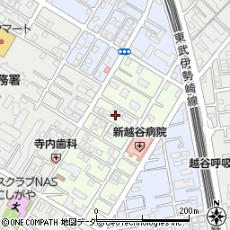 埼玉県越谷市元柳田町3周辺の地図