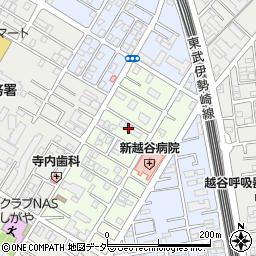 埼玉県越谷市元柳田町3-6周辺の地図