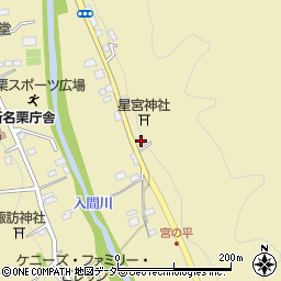 埼玉県飯能市上名栗217周辺の地図