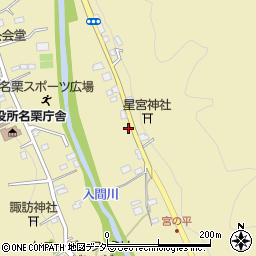 埼玉県飯能市上名栗219周辺の地図
