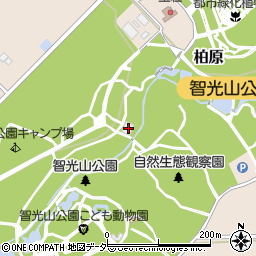 埼玉県狭山市柏原768周辺の地図