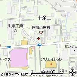 千葉県柏市十余二313-133周辺の地図