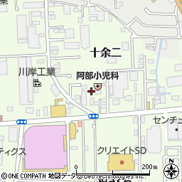 千葉県柏市十余二313-132周辺の地図