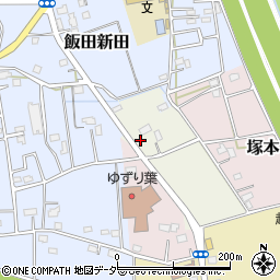 埼玉県さいたま市西区植田谷本村新田168周辺の地図