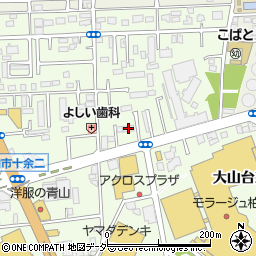 千葉県柏市十余二297-123周辺の地図