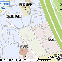 埼玉県さいたま市西区植田谷本村新田164周辺の地図