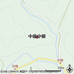 埼玉県飯能市中藤中郷周辺の地図