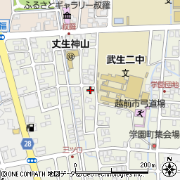 福井県越前市三ツ口町38周辺の地図